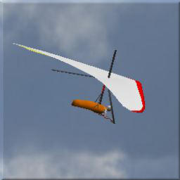 Hang glider
