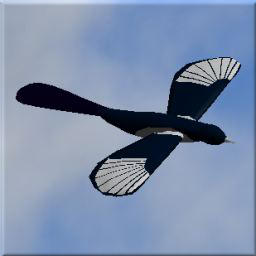 Magpie