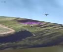 Hangglider